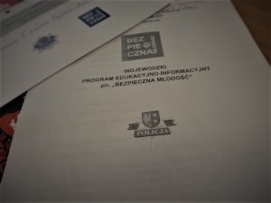 Strona tytułowa dokumentu opisującego program Bezpieczna Młodość