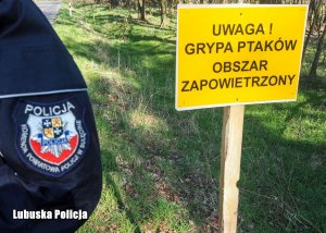 Żółta tabliczka z napisem: Uwaga! Grypa ptaków. Obszar zapowietrzony. Obok kawałek kurtki policjantki z emblematem sulęcińskiej jednostki.