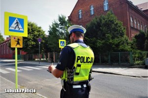 Policjant w odblaskowej kamizelce stoi tyłem do zdjęcia, a przodem do oznakowania przejścia dla pieszych. Pisze w notatniku. Dalej znajduje się przejście dla pieszych.