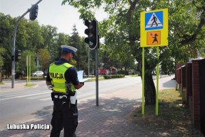 Policjant w odblaskowej kamizelce stoi tyłem do zdjęcia, a przodem do oznakowania przejścia dla pieszych. Pisze w notatniku służbowym. Dalej znajduje się przejście dla pieszych z sygnalizacją świetlną.