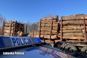 Belka na dachu radiowozu z napisem Policja na tle naczepy z przewożonym drewnem.