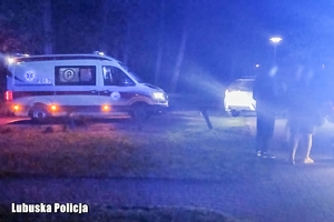 Karetka oraz osoby biorące udział w poszukiwaniach.