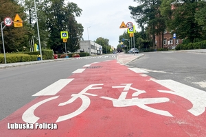 Policjant ocenia stan oznakowania drogowego pionowego w pobliżu szkoły.