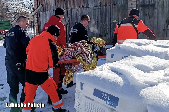 Bardzo niska temperatura i zaginięcie 84-latka. Szczęśliwy finał poszukiwań