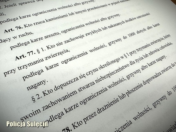 Artykuł z kodeksu wykroczeń.
