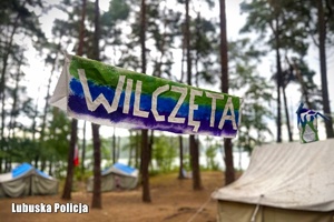 Nazwa obozu harcerskiego Wilczęta.