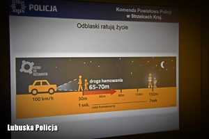 grafika informacyjna