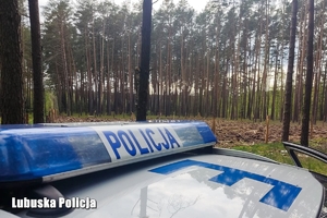 listwa na dachu radiowozu z napisem ,, policja&quot;