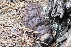 niewybuch na leśnej ściółce