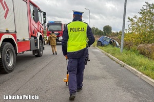 policjant odwrócony tyłem idzie  kierunku samochodu