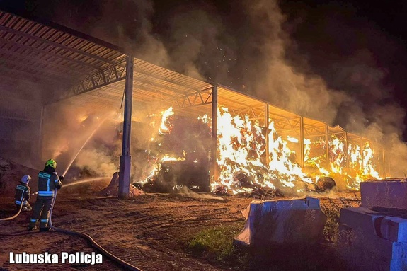 Podejrzany o podpalenie hali ze słomą zatrzymany. 27-latek trafił do aresztu